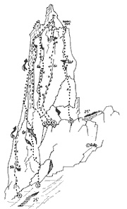 Aguja M2 cara oeste