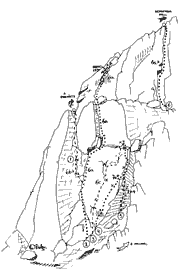 Area de Plantitas